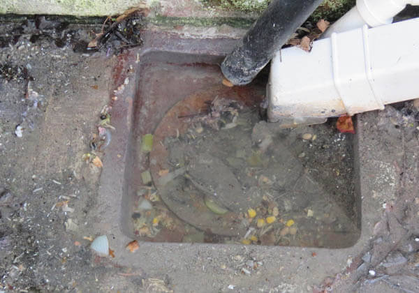 Domestic Drainage Services in Colchester, Essex | Ask Us Drains